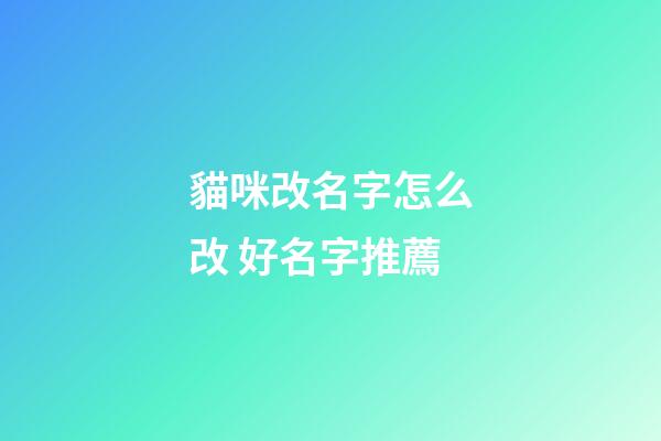 貓咪改名字怎么改 好名字推薦